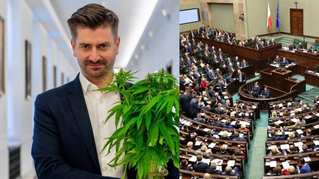 Sejm_marihuana